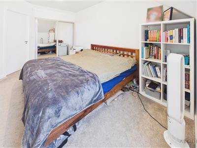 Picture 14